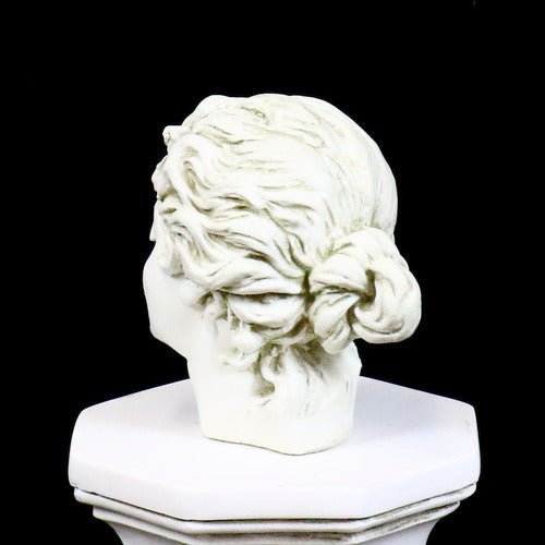 Garden Lady Head Statue (8-Inch)