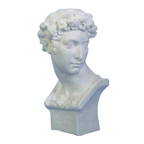 Giuliano De Medici Bust Display Decor (24 - Inch)
