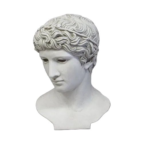 Greek Youth Bust Display Decor (34 - Inch)