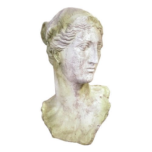 Head Bust Display Decor (49 - Inch) Different Angle
