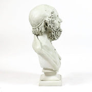 Homer (29-Inch)