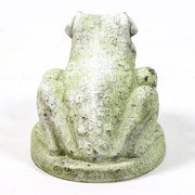 Hypno Frog Statue (5 - Inch) Other Angle