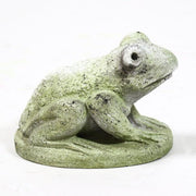 Hypno Frog Statue (5 - Inch) Different Angle