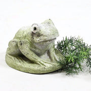 Hypno Frog Statue (5 - Inch) Side View