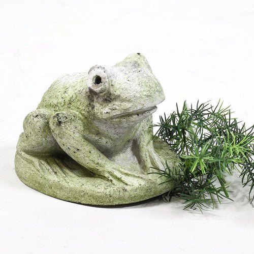 Hypno Frog Statue (5 - Inch) Side View