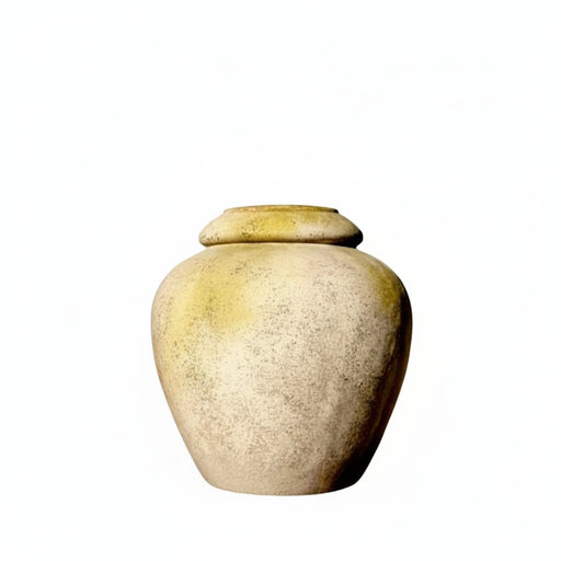 Jar Garden (24 - Inch)