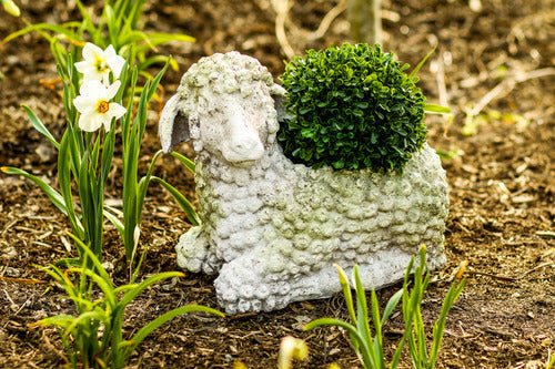 Lamb Planter Garden Statue (11 - Inch) Different Angle