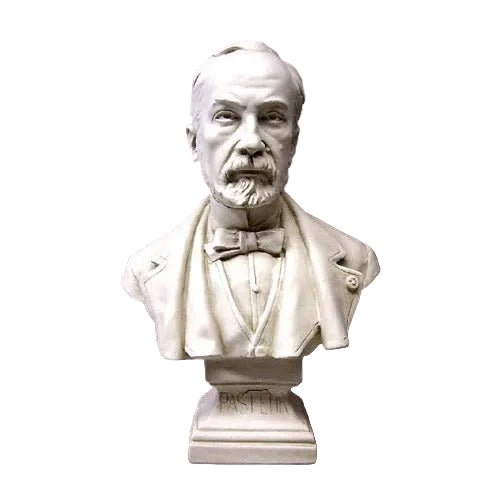 Louis Pasteur Bust Display Decor (20 - Inch)