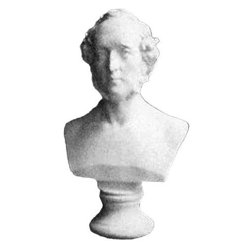 Med Stat Bust Display Decor (17 - Inch)