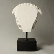 Medusa Head on Base Bust Display Decor (11-Inch)