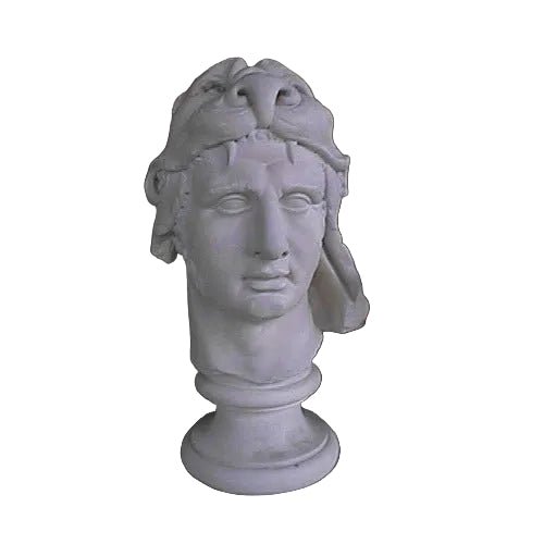 Mithridates Bust Display Decor (20 - Inch)