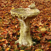 Natures Small Birdbath Statue (15.76 - Inch) Side Angle