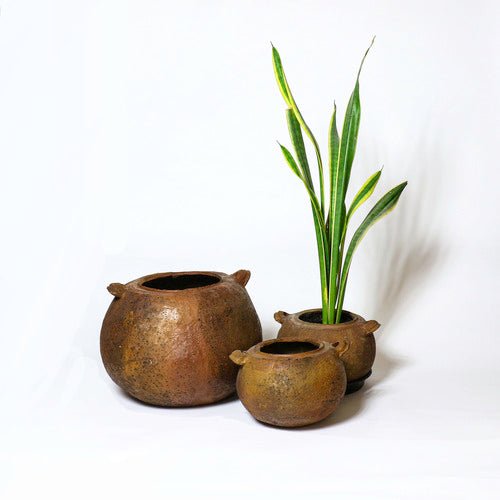 Oggi Oil Jar Garden (14 - Inch) Side Angle