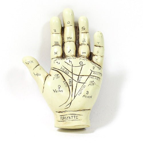 Palmistry Hand Statue (6 - Inch) Side View