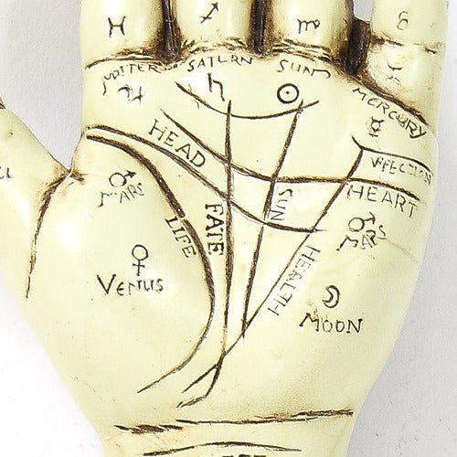 Palmistry Hand Statue (6 - Inch)