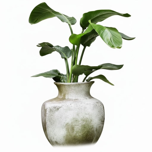 Perfume Vase Garden (17 - Inch)