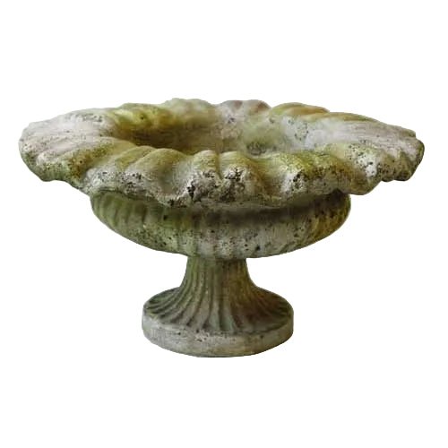 Petite Pot Garden (6 - Inch)