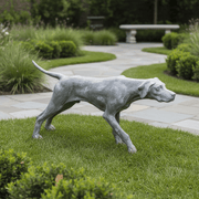Pointer Spaniel Dog Garden Statue (51 - Inch) Side Angle