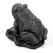 Pond Frog Garden Statue (5 - Inch) Different Angle