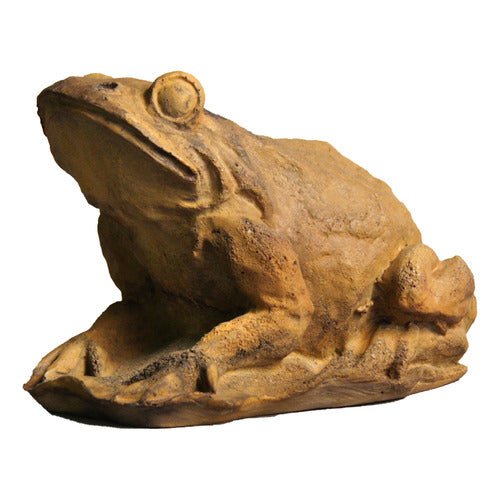Pond Frog Garden Statue (5 - Inch) Other Angle