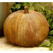 Pumpkin Garden Statue (11 - Inch) Side View