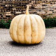 Pumpkin Garden Statue (24 - Inch) Side View