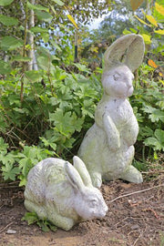 Rabbit Garden Statue (6 - Inch) Different Angle