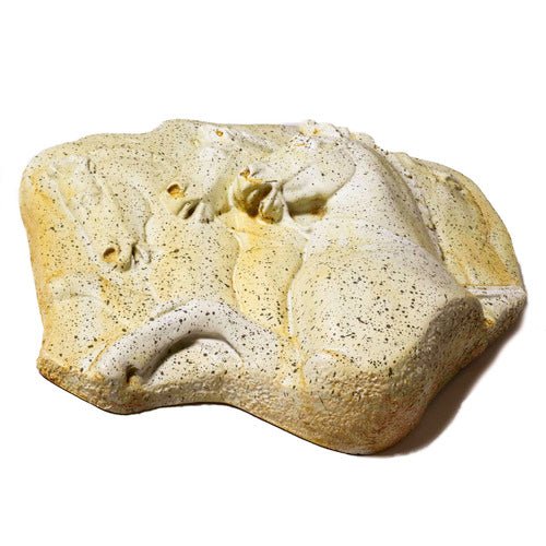 Rearing Horses Garden Statue (12 - Inch) Different Angle