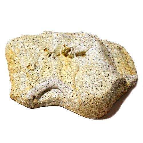 Rearing Horses Garden Statue (12-Inch)
