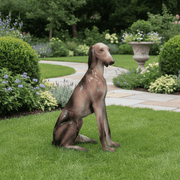 Saluki Dog Statue (39 - Inch) Side Angle