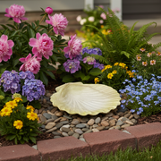 Scallop Shell Garden Statue (7 - Inch) Side Angle