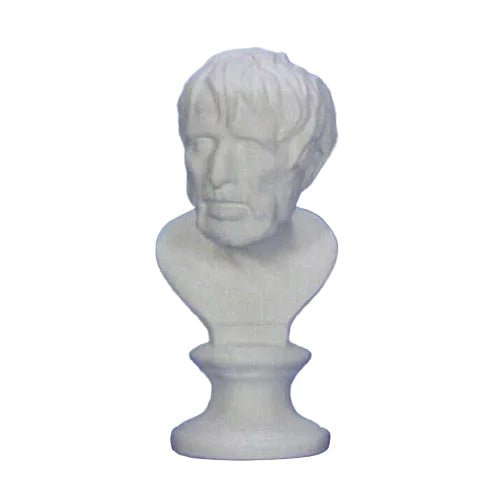 Seneca Bust Display Decor (22 - Inch)