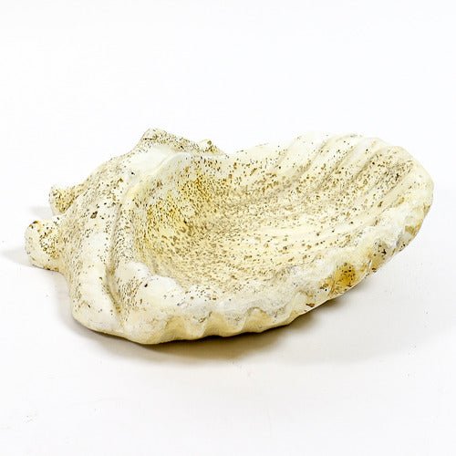 Shell Birdbath Garden Statue (15 - Inch) Different Angle