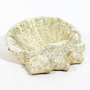 Shell Birdbath Garden Statue (15 - Inch)