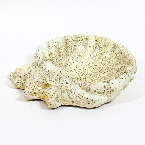 Shell Birdbath Garden Statue (15 - Inch) Side View