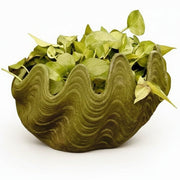 Shell Garden Statue (10.5 - Inch)