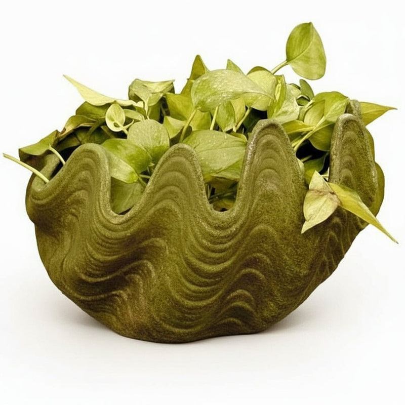 Shell Garden Statue (10.5 - Inch)