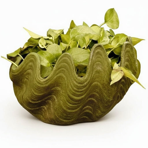 Shell Garden Statue (10.5 - Inch)