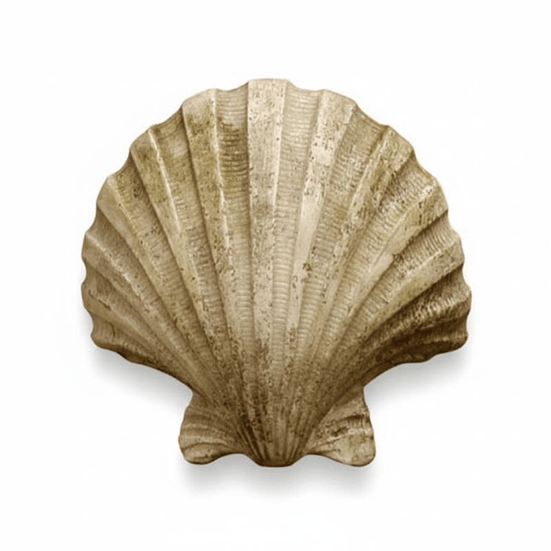 Shell Garden Statue (12 - Inch) Side View