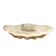 Shell Garden Statue (26-Inch)
