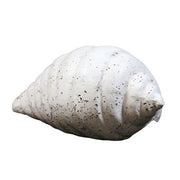 Shell Garden Statue (5 - Inch) Different Angle