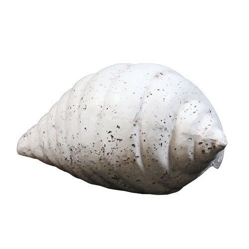 Shell Garden Statue (5 - Inch) Different Angle
