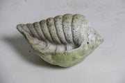 Shell Garden Statue (5 - Inch) Other Angle