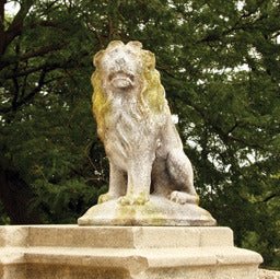 Sitting Lion Garden Statue (24 - Inch) Other Angle