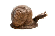 Slow Snail Garden Statue (5 - Inch)