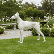 Standing Doberman Dog Garden Statue (32 - Inch) Side Angle