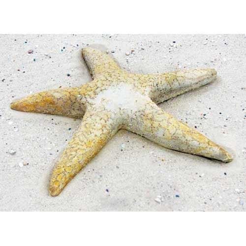 Starfish Garden Statue (30 - Inch) Different Angle