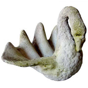 Swans Garden (12 - Inch) Side View