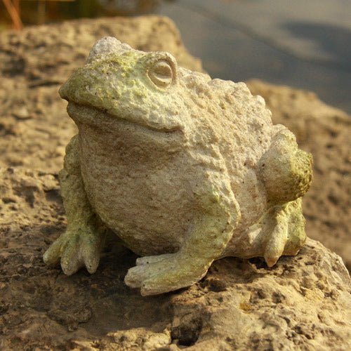 Toad Garden Statue (4.94 - Inch) Other Angle