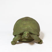 Turtle Garden Statue (12 - Inch) Side View
